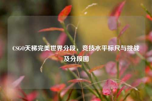 CSGO天梯完美世界分段，竞技水平标尺与挑战及分段图