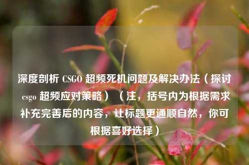 深度剖析 CSGO 超频死机问题及解决办法（探讨 csgo 超频应对策略） （注，括号内为根据需求补充完善后的内容，让标题更通顺自然，你可根据喜好选择）