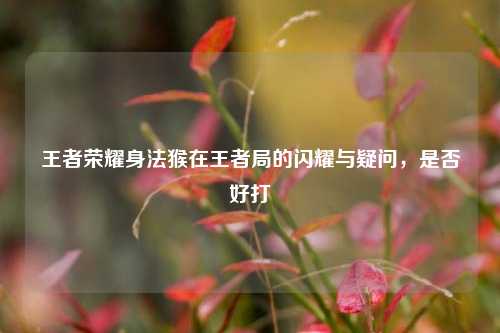 王者荣耀身法猴在王者局的闪耀与疑问，是否好打