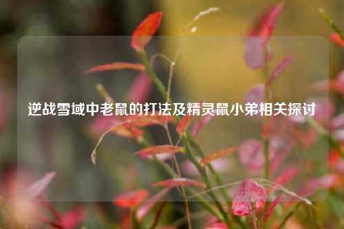逆战雪域中老鼠的打法及精灵鼠小弟相关探讨
