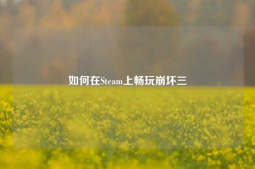 如何在Steam上畅玩崩坏三