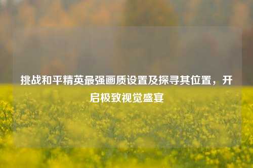 挑战和平精英最强画质设置及探寻其位置，开启极致视觉盛宴