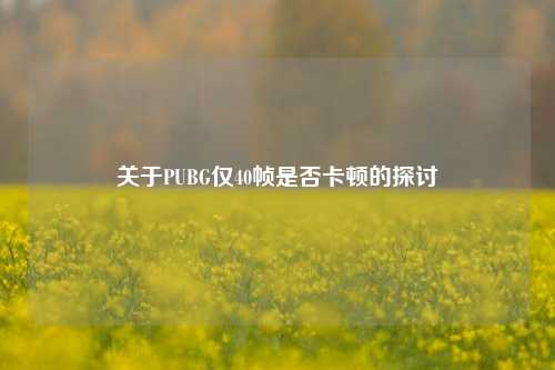 关于PUBG仅40帧是否卡顿的探讨