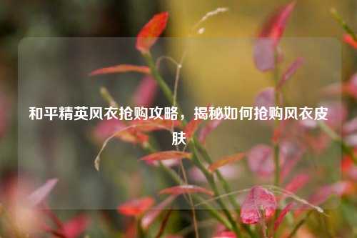 和平精英风衣抢购攻略，揭秘如何抢购风衣皮肤