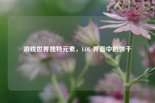 游戏世界独特元素，LOL 界面中的饼干