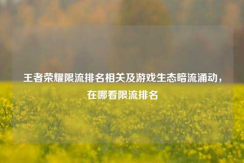 王者荣耀限流排名相关及游戏生态暗流涌动，在哪看限流排名