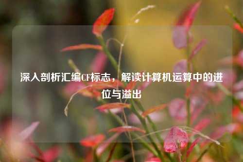 深入剖析汇编CF标志，解读计算机运算中的进位与溢出