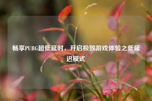 畅享PUBG超低延时,开启极致游戏体验之低延迟模式