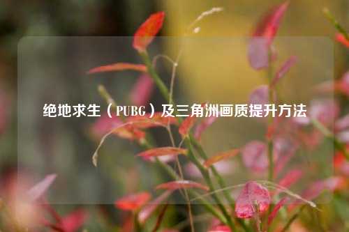 绝地求生（PUBG）及三角洲画质提升方法