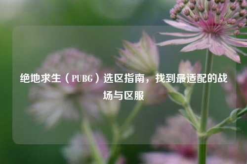 绝地求生（PUBG）选区指南，找到最适配的战场与区服