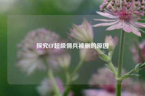 探究CF超级佣兵被删的原因