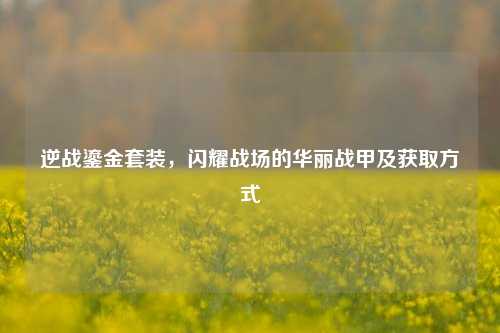逆战鎏金套装，闪耀战场的华丽战甲及获取方式