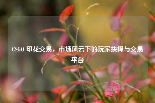 CSGO 印花交易，市场风云下的玩家抉择与交易平台