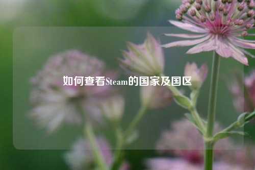 如何查看Steam的国家及国区
