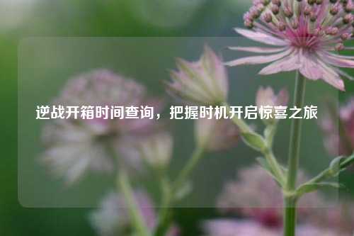 逆战开箱时间查询，把握时机开启惊喜之旅