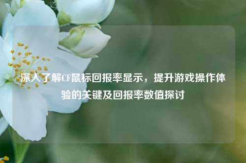 深入了解CF鼠标回报率显示，提升游戏操作体验的关键及回报率数值探讨