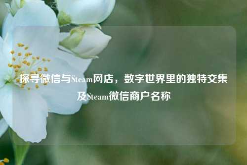探寻微信与Steam网店，数字世界里的独特交集及Steam微信商户名称