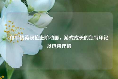 和平精英段位进阶动画，游戏成长的独特印记及进阶详情