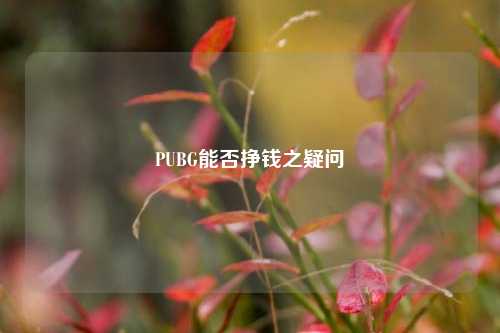 PUBG能否挣钱之疑问