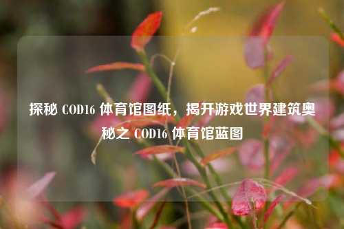 探秘 COD16 体育馆图纸，揭开游戏世界建筑奥秘之 COD16 体育馆蓝图