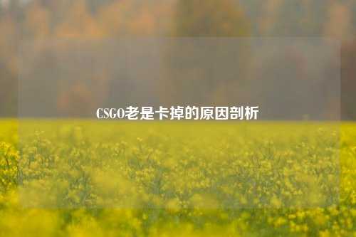 CSGO老是卡掉的原因剖析