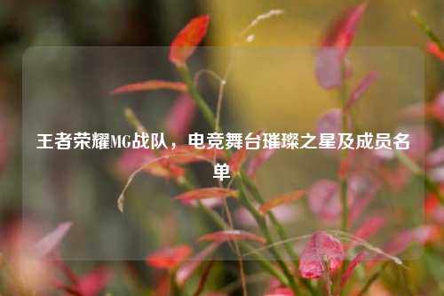 王者荣耀MG战队，电竞舞台璀璨之星及成员名单