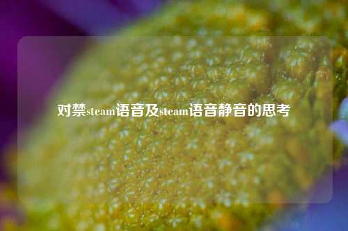 对禁steam语音及steam语音静音的思考