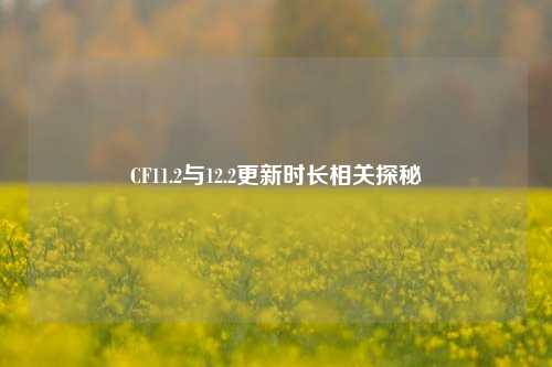 CF11.2与12.2更新时长相关探秘