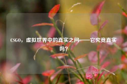 CSGO，虚拟世界中的真实之问——它究竟真实吗？