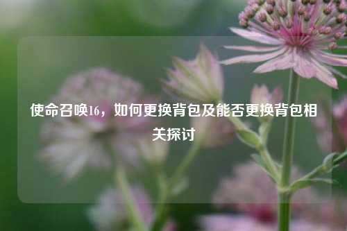 使命召唤16，如何更换背包及能否更换背包相关探讨