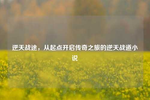 逆天战途，从起点开启传奇之旅的逆天战道小说