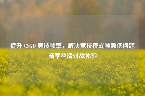 提升 CSGO 竞技帧率，解决竞技模式帧数低问题畅享丝滑对战体验