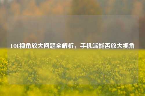 LOL视角放大问题全解析，手机端能否放大视角