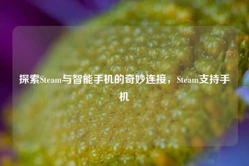 探索Steam与智能手机的奇妙连接，Steam支持手机