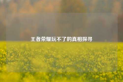 王者荣耀玩不了的真相探寻