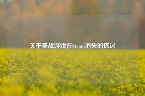 关于圣战游戏在Steam消失的探讨