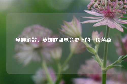 皇族解散，英雄联盟电竞史上的一段落幕