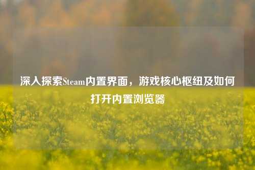 深入探索Steam内置界面，游戏核心枢纽及如何打开内置浏览器
