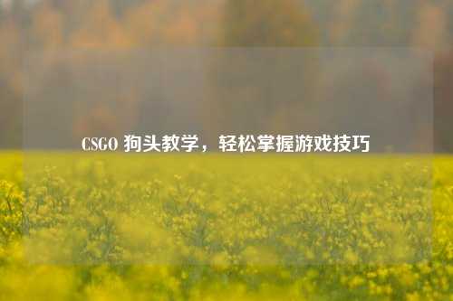 CSGO 狗头教学，轻松掌握游戏技巧