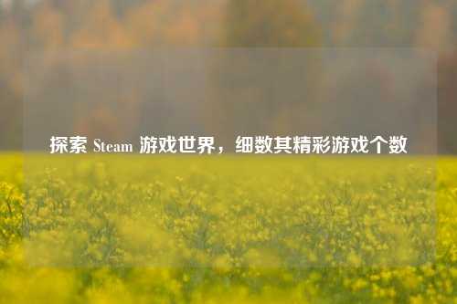 探索 Steam 游戏世界,细数其精彩游戏个数