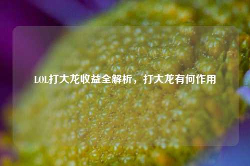 LOL打大龙收益全解析，打大龙有何作用