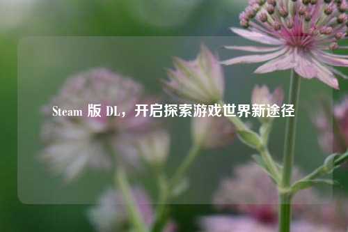 Steam 版 DL，开启探索游戏世界新途径