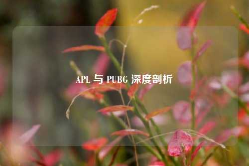 APL 与 PUBG 深度剖析