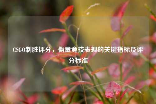 CSGO制胜评分,衡量竞技表现的关键指标及评分标准