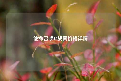 使命召唤16战网价格详情