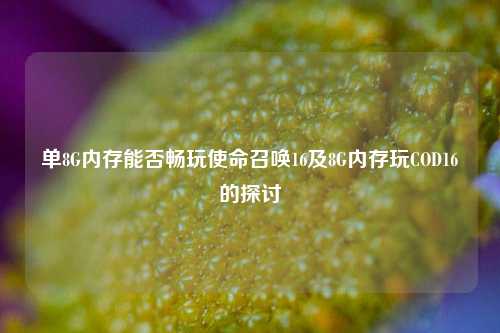单8G内存能否畅玩使命召唤16及8G内存玩COD16的探讨