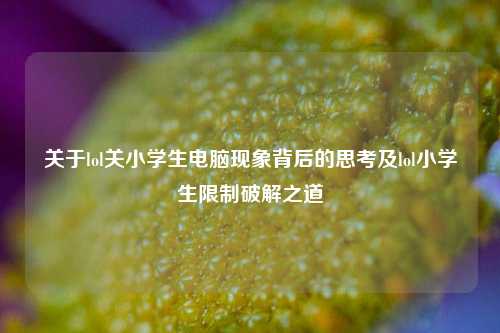 关于lol关小学生电脑现象背后的思考及lol小学生限制破解之道