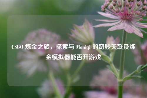 CSGO 炼金之旅，探索与 Moniqi 的奇妙关联及炼金模拟器能否开游戏