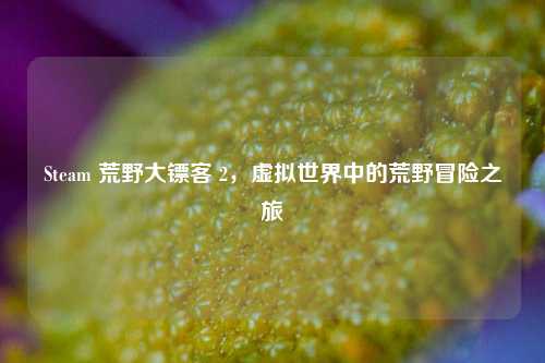 Steam 荒野大镖客 2,虚拟世界中的荒野冒险之旅