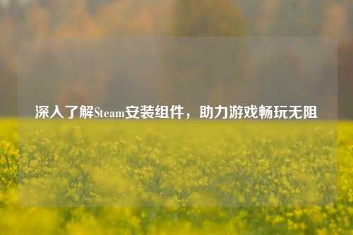 深入了解Steam安装组件，助力游戏畅玩无阻